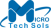 Micro Tech Sols Logo